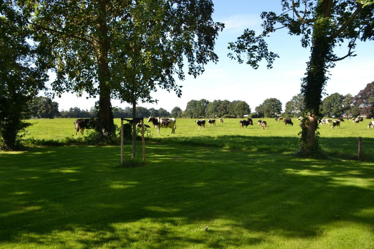 Op De Kuyerlatten Zwolle  Esterno foto